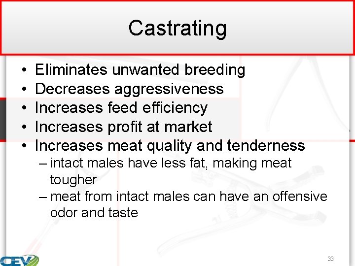 Castrating • • • Eliminates unwanted breeding Decreases aggressiveness Increases feed efficiency Increases profit