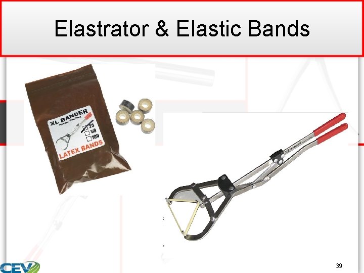 Elastrator & Elastic Bands 39 