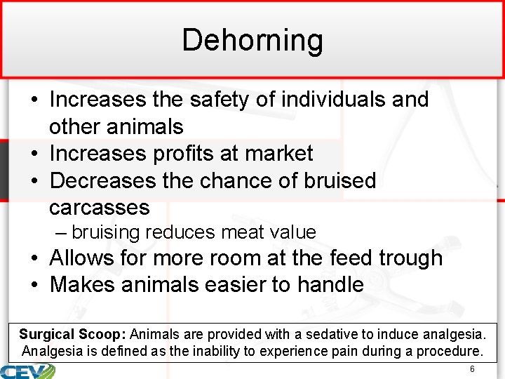 Dehorning • Increases the safety of individuals and other animals • Increases profits at