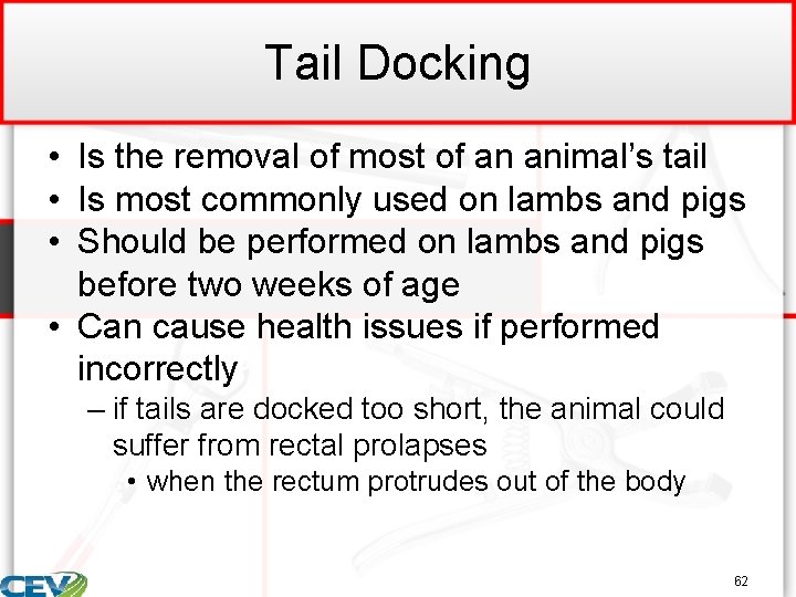 Tail Docking • Is the removal of most of an animal’s tail • Is