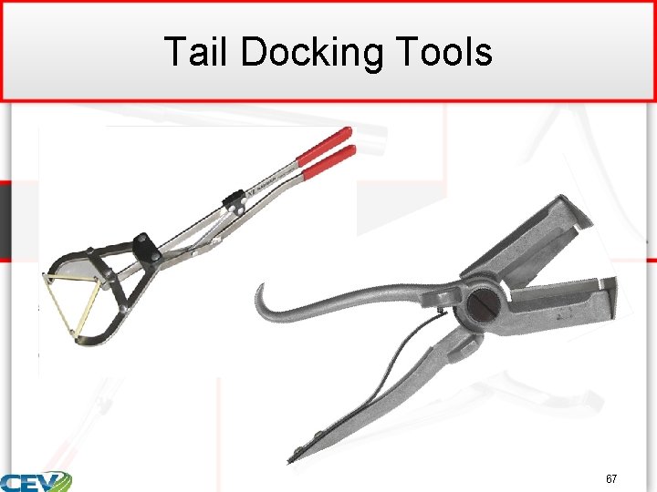 Tail Docking Tools 67 