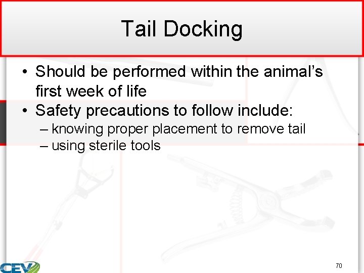 Tail Docking • Should be performed within the animal’s first week of life •