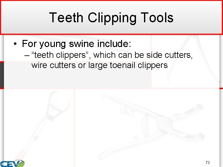 Teeth Clipping Tools • For young swine include: – “teeth clippers”, which can be