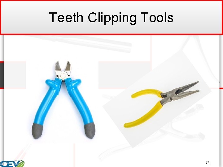 Teeth Clipping Tools 74 