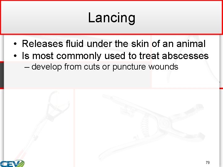 Lancing • Releases fluid under the skin of an animal • Is most commonly