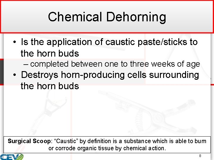 Chemical Dehorning • Is the application of caustic paste/sticks to the horn buds –