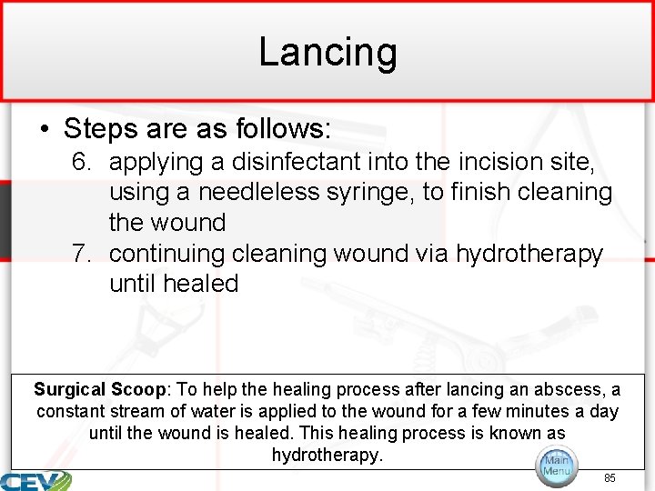 Lancing • Steps are as follows: 6. applying a disinfectant into the incision site,