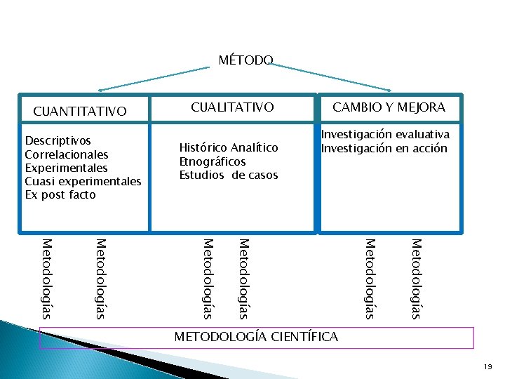 MÉTODO CUANTITATIVO Descriptivos Correlacionales Experimentales Cuasi experimentales Ex post facto CUALITATIVO Histórico Analítico Etnográficos