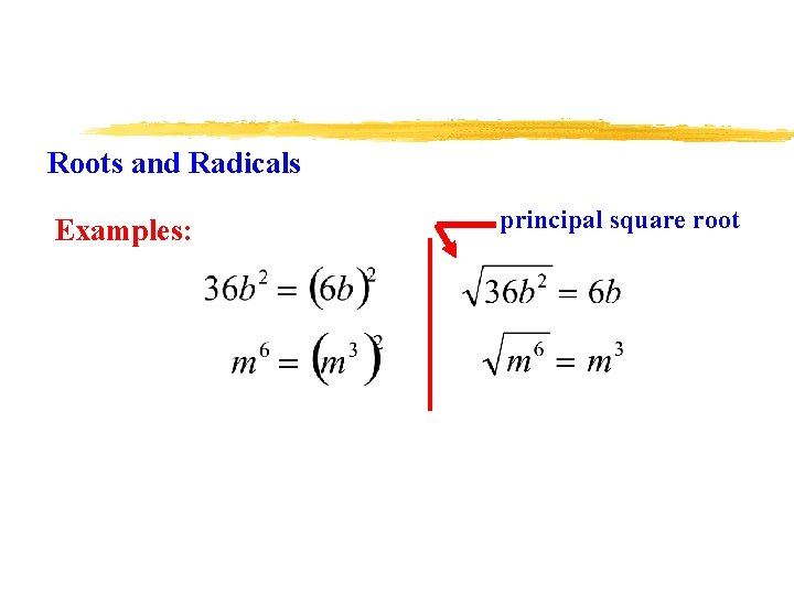 Roots and Radicals Examples: principal square root 