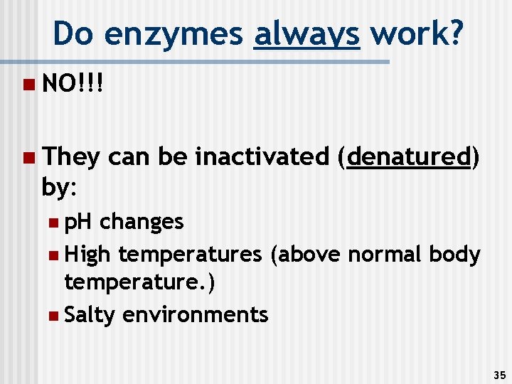 Do enzymes always work? n NO!!! n They by: can be inactivated (denatured) n