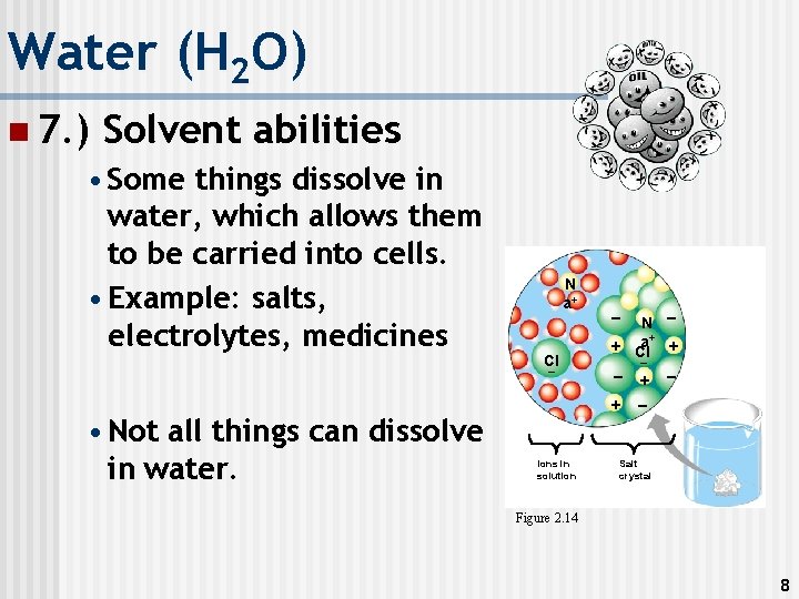 Water (H 2 O) n 7. ) Solvent abilities • Some things dissolve in