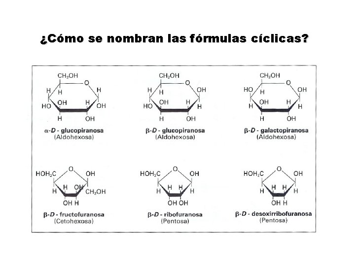 ¿Cómo se nombran las fórmulas cíclicas? 