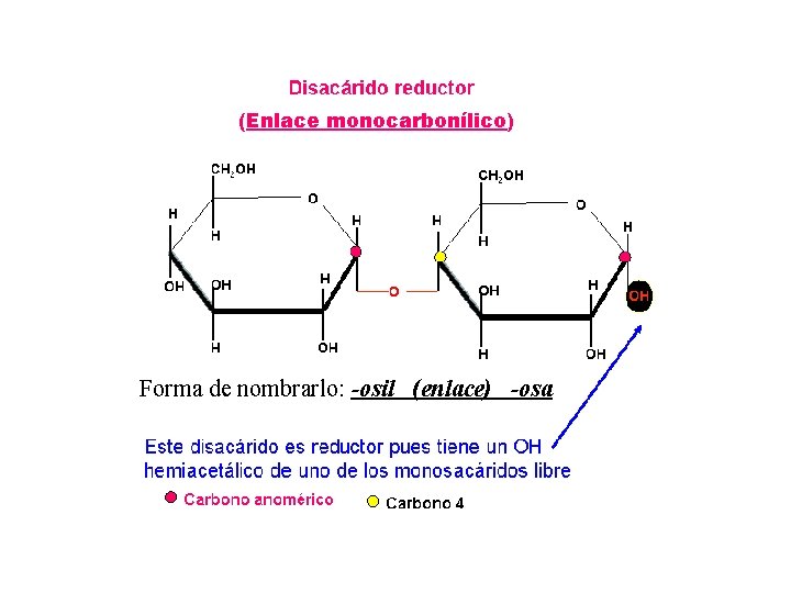 (Enlace monocarbonílico) Forma de nombrarlo: -osil (enlace) -osa 