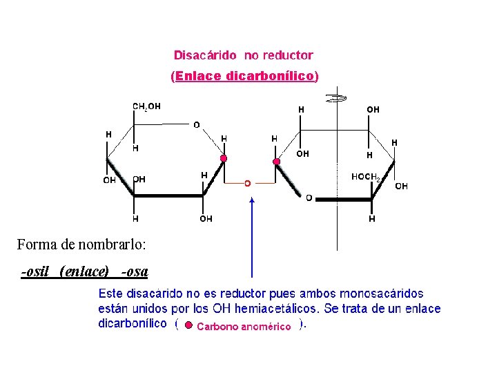 (Enlace dicarbonílico) Forma de nombrarlo: -osil (enlace) -osa 