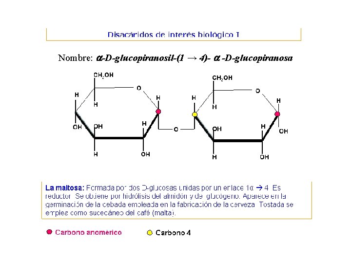 Nombre: a-D-glucopiranosil-(1 → 4)- a -D-glucopiranosa 
