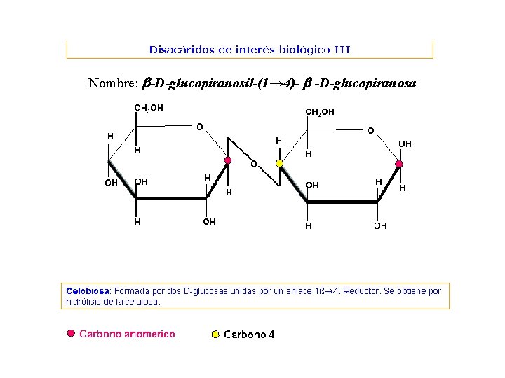 Nombre: b-D-glucopiranosil-(1→ 4)- b -D-glucopiranosa 