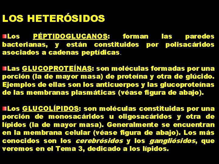 LOS HETERÓSIDOS Los PÉPTIDOGLUCANOS: forman las paredes bacterianas, y están constituidos por polisacáridos asociados