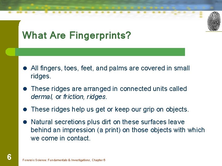 What Are Fingerprints? l All fingers, toes, feet, and palms are covered in small