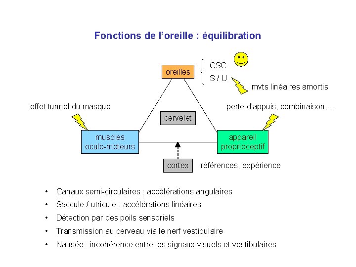 Fonctions de l’oreille : équilibration CSC oreilles S/U effet tunnel du masque mvts linéaires