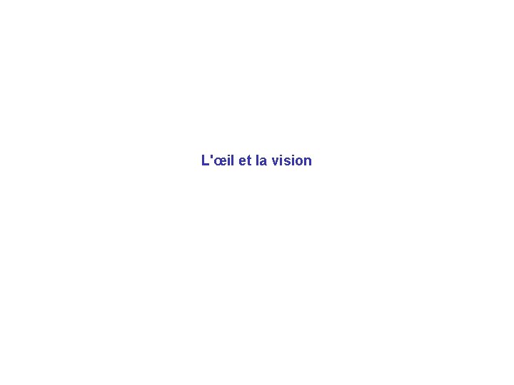 L'œil et la vision 