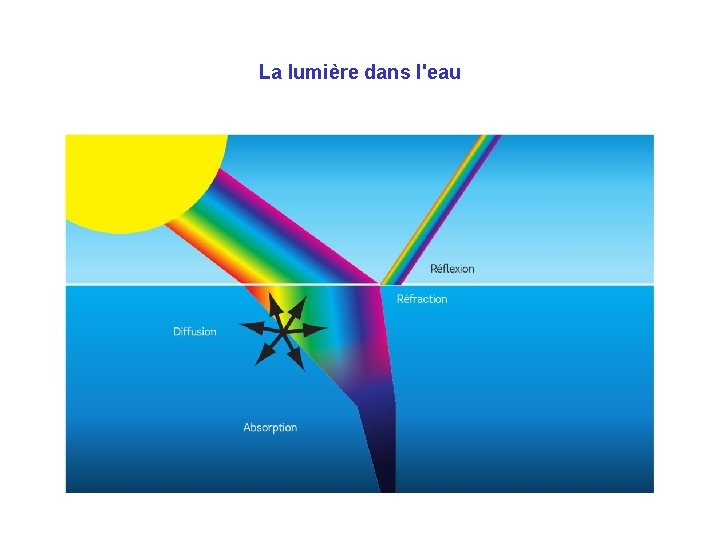 La lumière dans l'eau 
