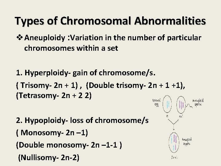 Types of Chromosomal Abnormalities v Aneuploidy : Variation in the number of particular chromosomes