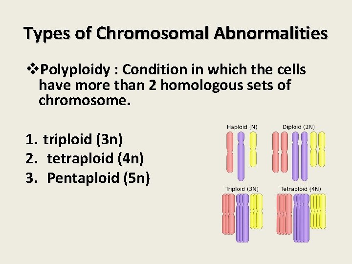 Types of Chromosomal Abnormalities v. Polyploidy : Condition in which the cells have more