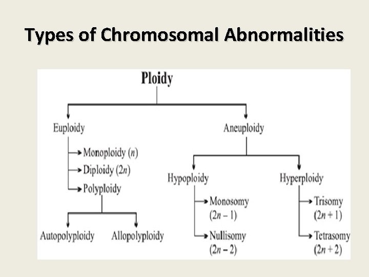 Types of Chromosomal Abnormalities Types of Chromosomal Abnormalities
