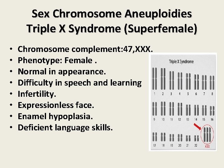 Sex Chromosome Aneuploidies Triple X Syndrome (Superfemale) • • Chromosome complement: 47, XXX. Phenotype: