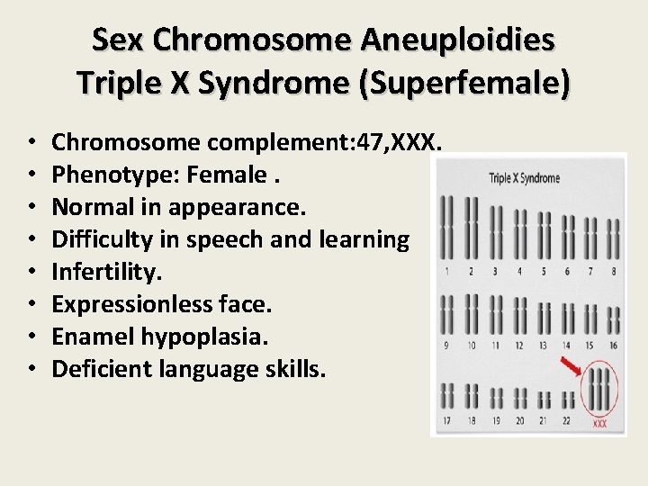 Sex Chromosome Aneuploidies Triple X Syndrome (Superfemale) • • Chromosome complement: 47, XXX. Phenotype: Sex Chromosome Aneuploidies Triple X Syndrome (Superfemale) • • Chromosome complement: 47, XXX. Phenotype: