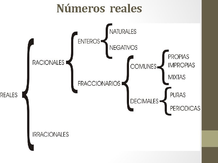 Números reales 