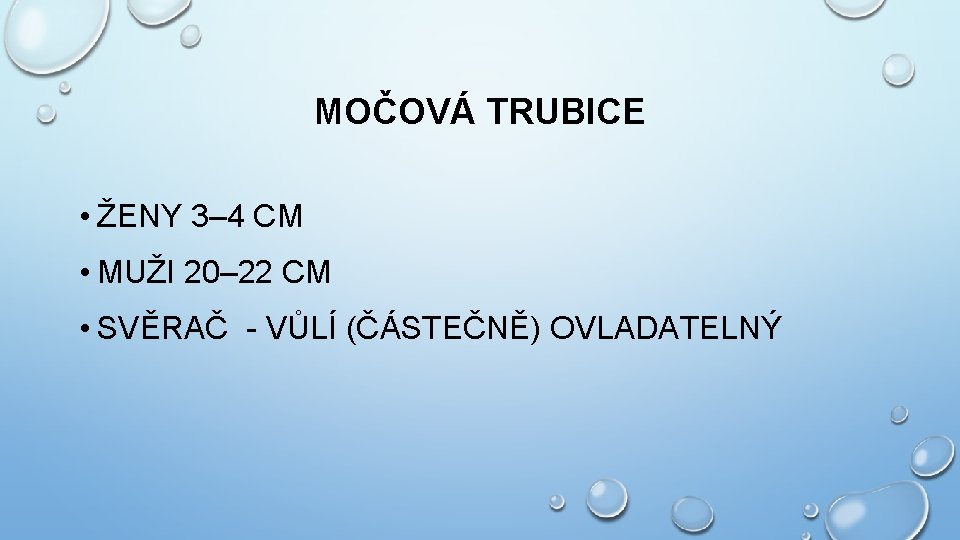 MOČOVÁ TRUBICE • ŽENY 3– 4 CM • MUŽI 20– 22 CM • SVĚRAČ