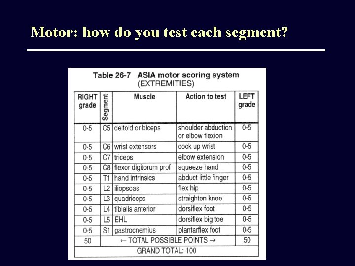 Motor: how do you test each segment? 