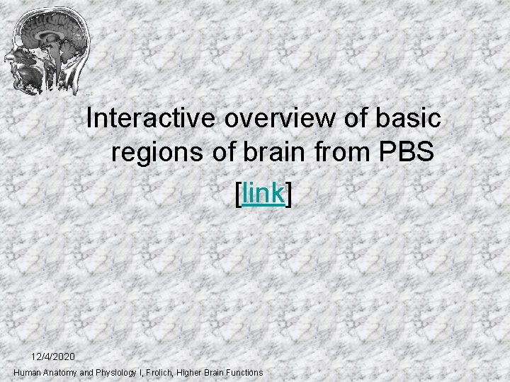 Interactive overview of basic regions of brain from PBS [link] 12/4/2020 Human Anatomy and