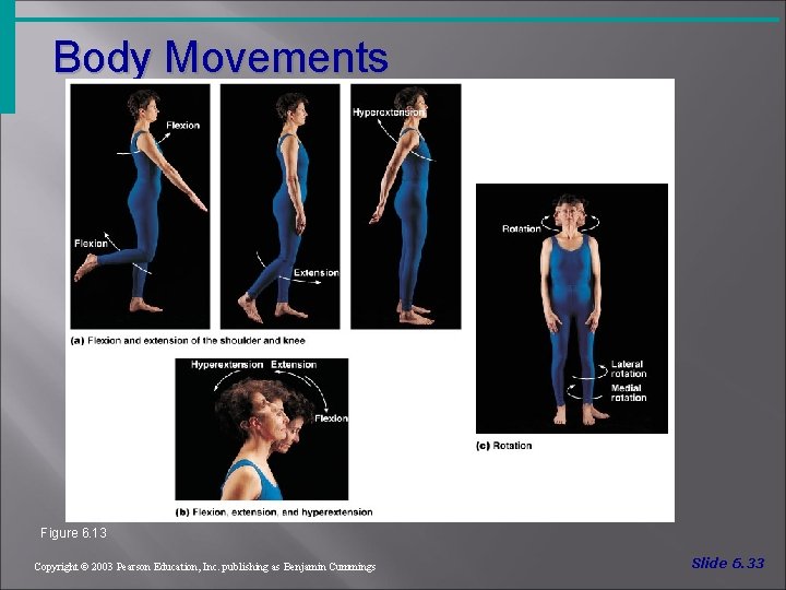 Body Movements Figure 6. 13 Copyright © 2003 Pearson Education, Inc. publishing as Benjamin