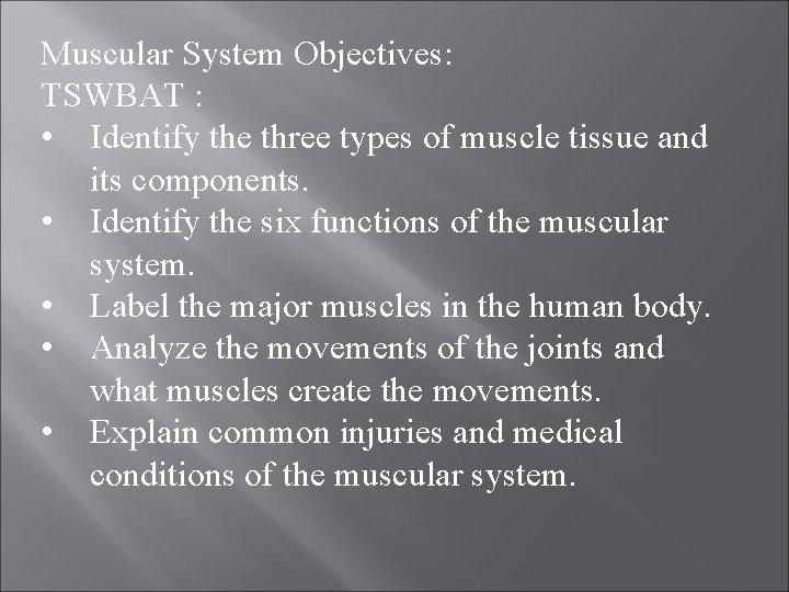 Muscular System Objectives: TSWBAT : • Identify the three types of muscle tissue and