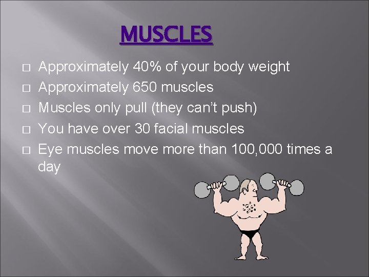 MUSCLES � � � Approximately 40% of your body weight Approximately 650 muscles Muscles