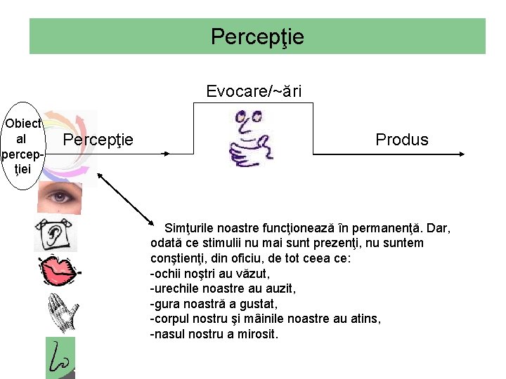 Percepţie Evocare/~ări Obiect al percepţiei Percepţie Produs Simţurile noastre funcţionează în permanenţă. Dar, odată