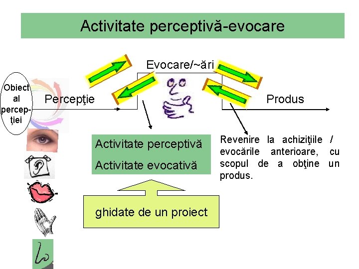 Activitate perceptivă-evocare Evocare/~ări Obiect al percepţiei Percepţie Produs Activitate perceptivă Activitate evocativă ghidate de