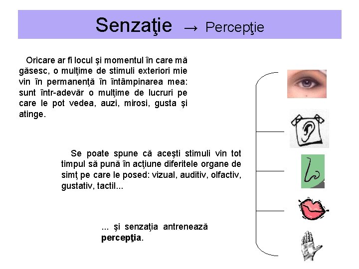 Senzaţie → Percepţie Oricare ar fi locul şi momentul în care mă găsesc, o