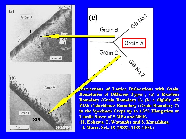 R S 13 Interactions of Lattice Dislocations with Grain Boundaries of Different Types ;