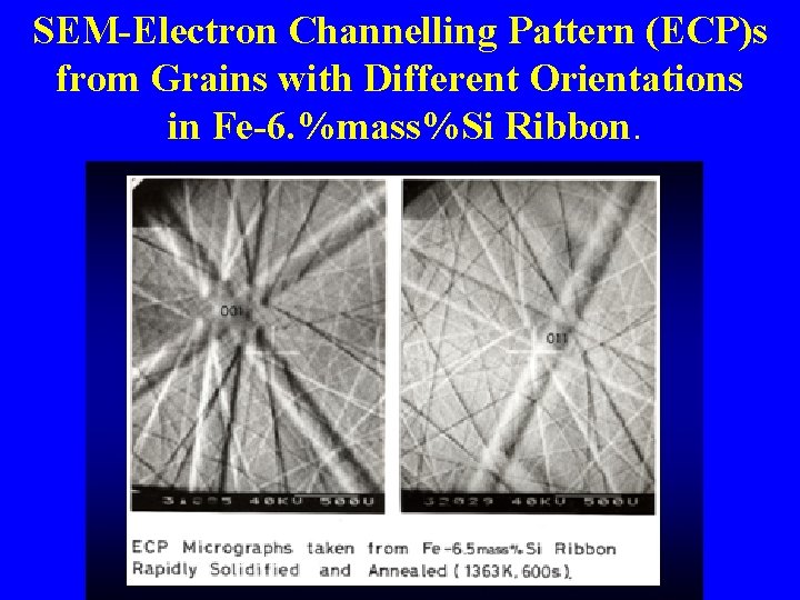 SEM-Electron Channelling Pattern (ECP)s from Grains with Different Orientations in Fe-6. %mass%Si Ribbon. 