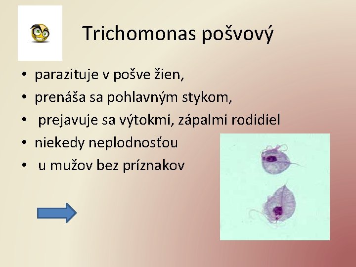 Trichomonas pošvový • • • parazituje v pošve žien, prenáša sa pohlavným stykom, prejavuje