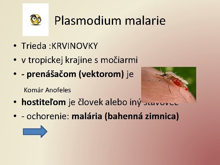 Plasmodium malarie • Trieda : KRVINOVKY • v tropickej krajine s močiarmi • -