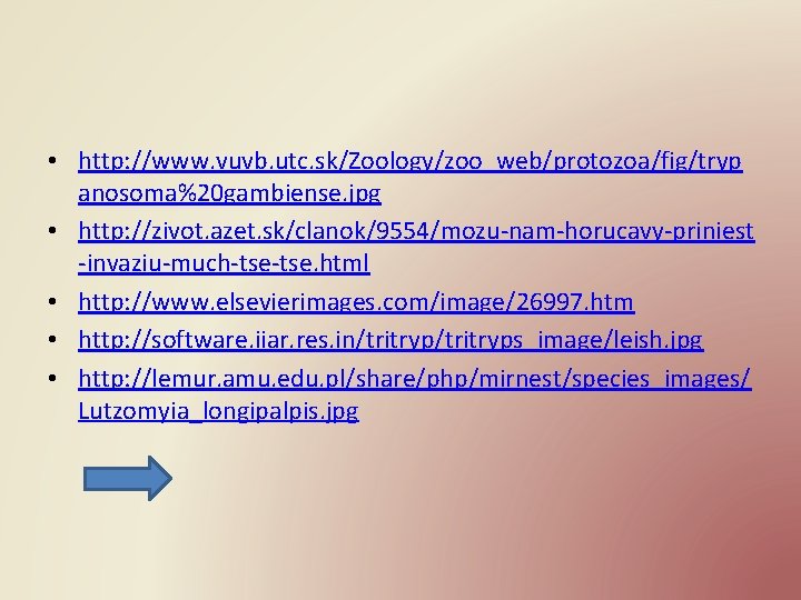  • http: //www. vuvb. utc. sk/Zoology/zoo_web/protozoa/fig/tryp anosoma%20 gambiense. jpg • http: //zivot. azet.