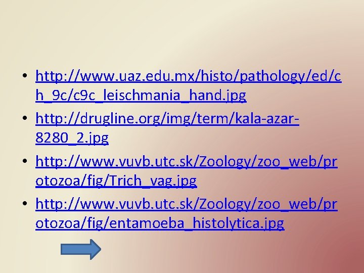  • http: //www. uaz. edu. mx/histo/pathology/ed/c h_9 c/c 9 c_leischmania_hand. jpg • http: