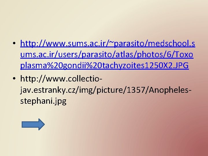  • http: //www. sums. ac. ir/~parasito/medschool. s ums. ac. ir/users/parasito/atlas/photos/6/Toxo plasma%20 gondii%20 tachyzoites