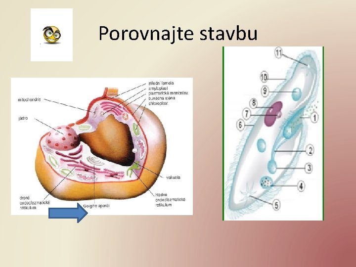 Porovnajte stavbu 