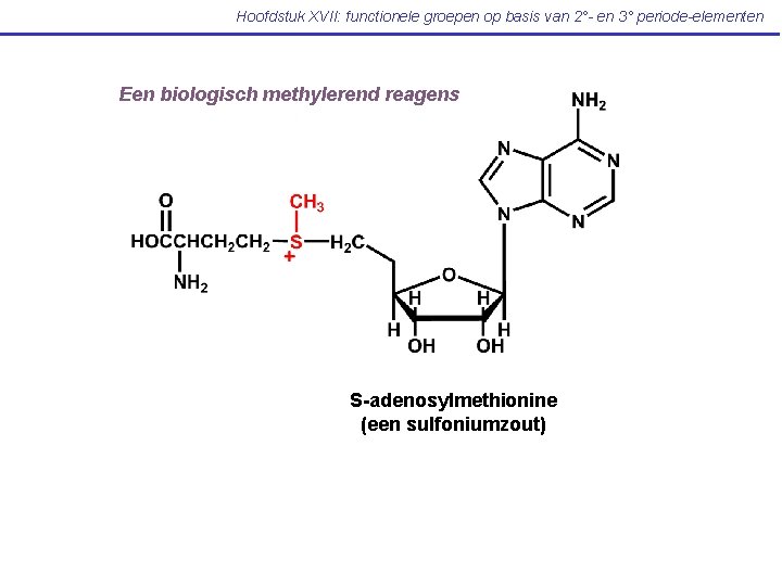 Hoofdstuk XVII: functionele groepen op basis van 2°- en 3° periode-elementen Een biologisch methylerend