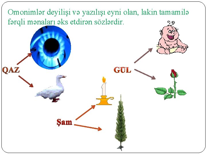 Omonimlər deyilişi və yazılışı eyni olan, lakin tamamilə fərqli mənaları əks etdirən sözlərdir. Şam